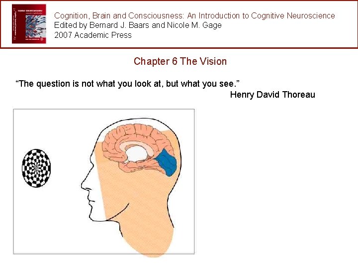 Cognition, Brain and Consciousness: An Introduction to Cognitive Neuroscience Edited by Bernard J. Baars