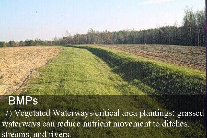 BMPs 7) Vegetated Waterways/critical area plantings: grassed waterways can reduce nutrient movement to ditches,