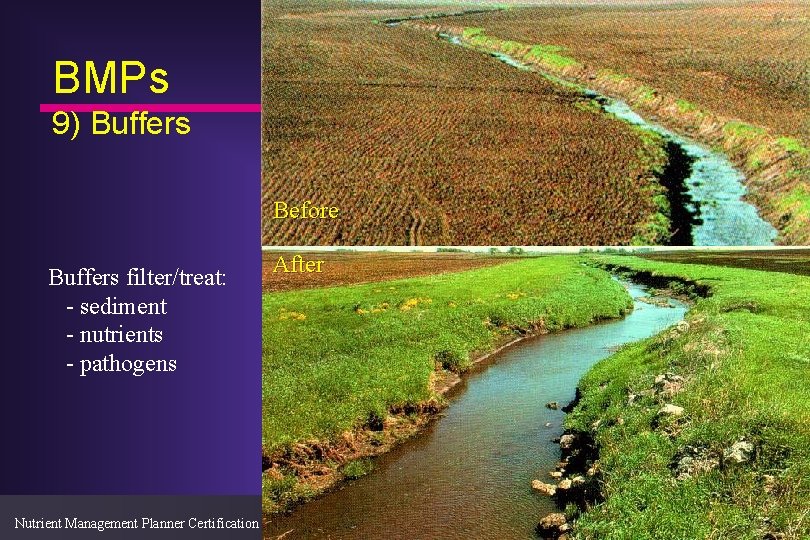 BMPs 9) Buffers Before Buffers filter/treat: - sediment - nutrients - pathogens After Nutrient