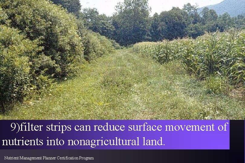 9)filter strips can reduce surface movement of nutrients into nonagricultural land. Nutrient Management Planner