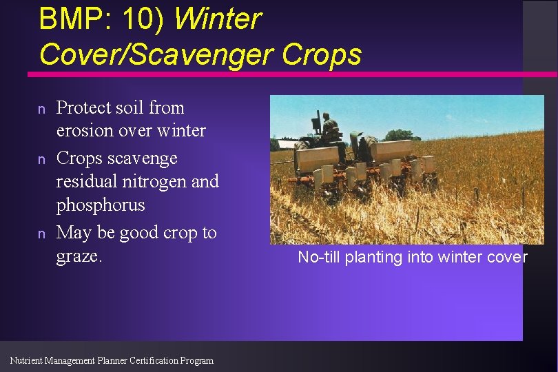 BMP: 10) Winter Cover/Scavenger Crops n n n Protect soil from erosion over winter