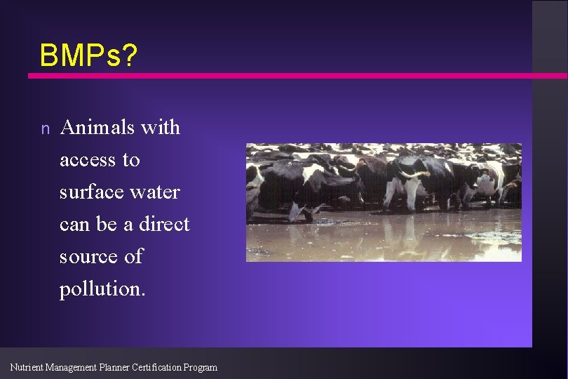 BMPs? n Animals with access to surface water can be a direct source of