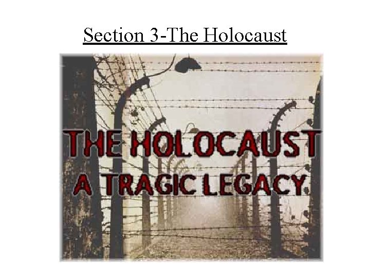 Section 3 -The Holocaust 