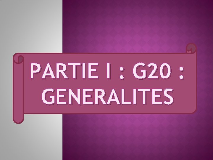 PARTIE I : G 20 : GENERALITES 