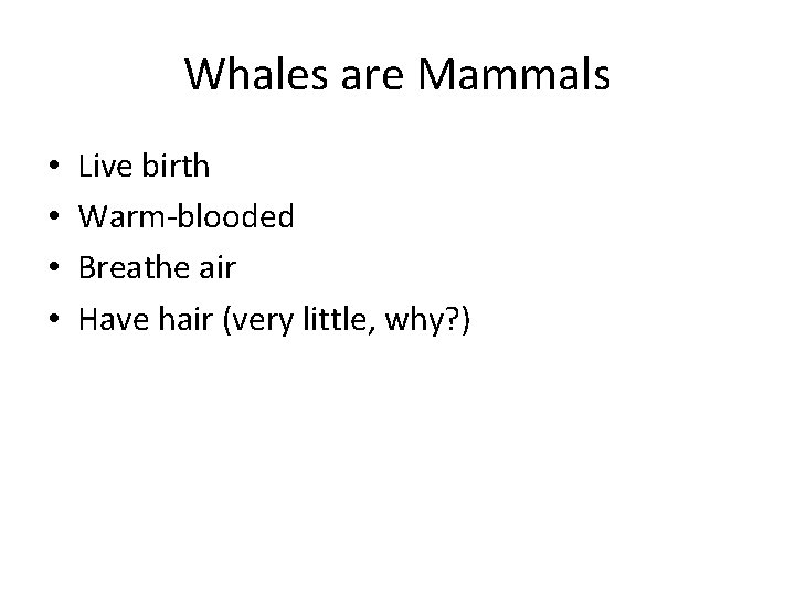 Whales are Mammals • • Live birth Warm-blooded Breathe air Have hair (very little,