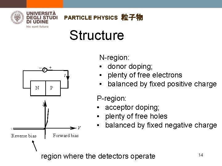PARTICLE PHYSICS 粒子物 Structure N-region: • donor doping; • plenty of free electrons •
