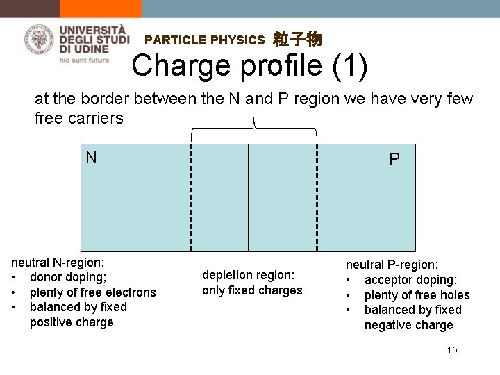 PARTICLE PHYSICS 粒子物 Charge profile (1) at the border between the N and P