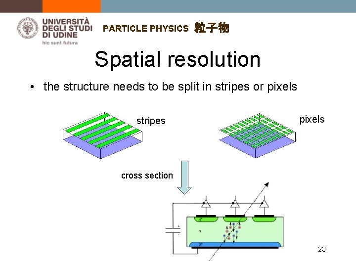 PARTICLE PHYSICS 粒子物 Spatial resolution • the structure needs to be split in stripes