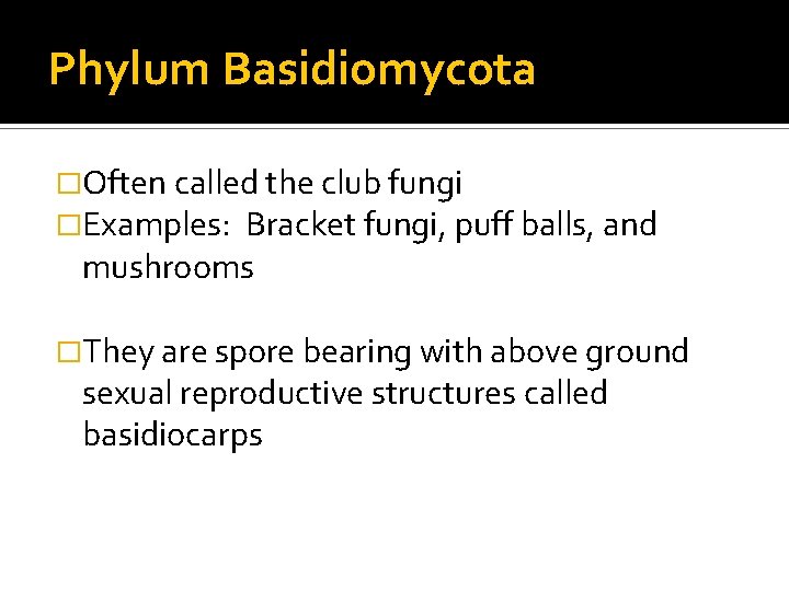 Phylum Basidiomycota �Often called the club fungi �Examples: Bracket fungi, puff balls, and mushrooms