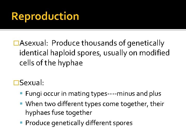 Reproduction �Asexual: Produce thousands of genetically identical haploid spores, usually on modified cells of