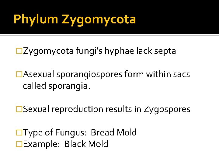 Phylum Zygomycota �Zygomycota fungi’s hyphae lack septa �Asexual sporangiospores form within sacs called sporangia.