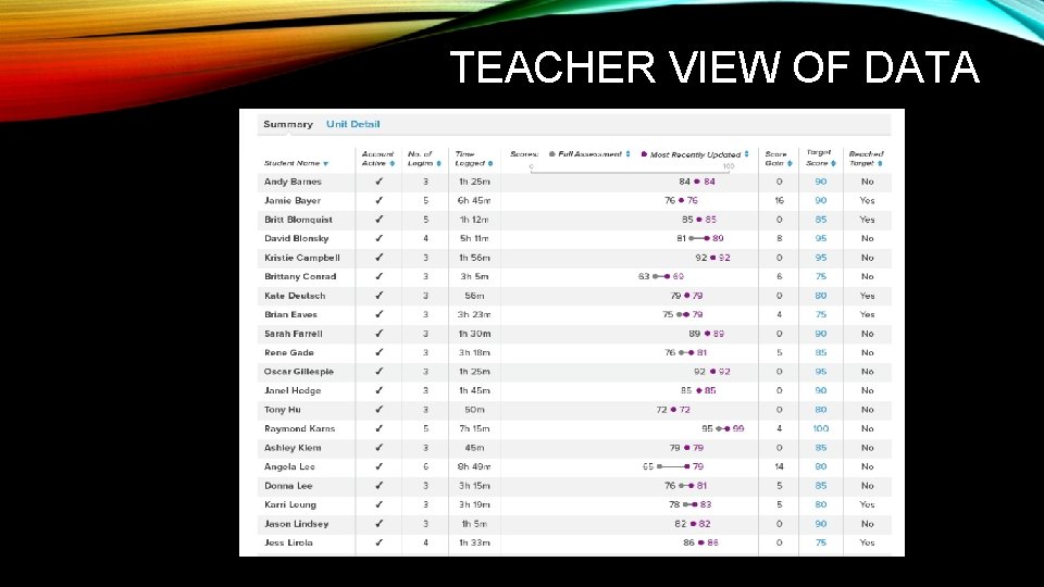 TEACHER VIEW OF DATA 