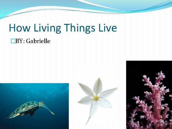 How Living Things Live �BY: Gabrielle 