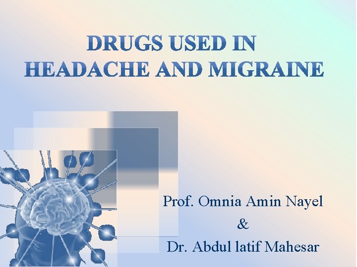 Prof. Omnia Amin Nayel & Dr. Abdul latif Mahesar 