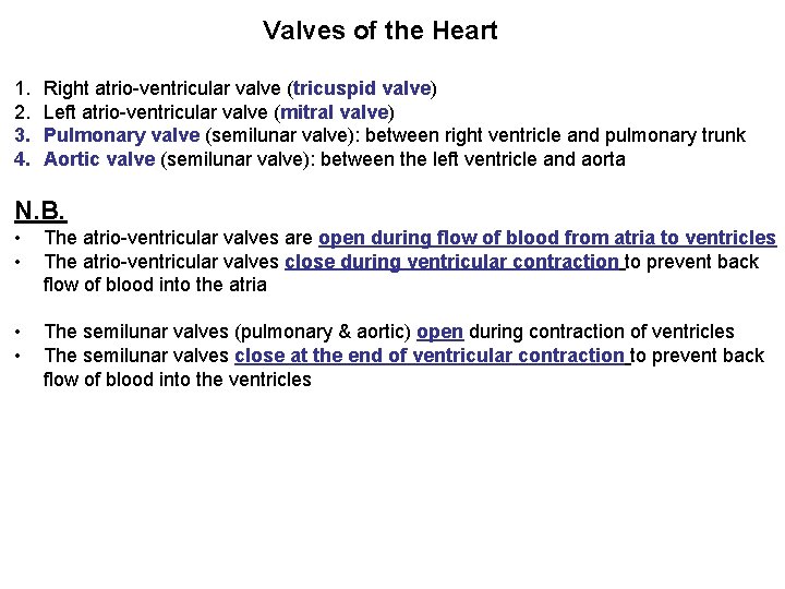 Valves of the Heart 1. 2. 3. 4. Right atrio-ventricular valve (tricuspid valve) Left