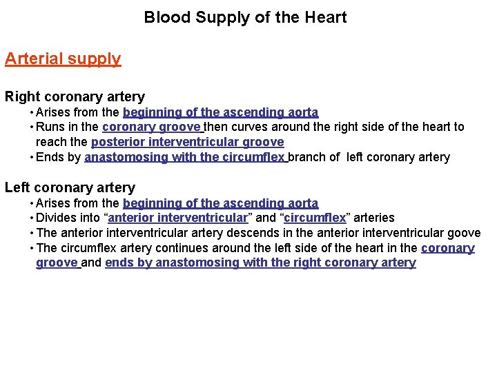 Blood Supply of the Heart Arterial supply Right coronary artery • Arises from the