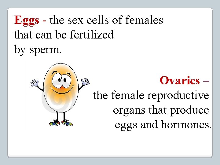 Eggs - the sex cells of females that can be fertilized by sperm. Ovaries