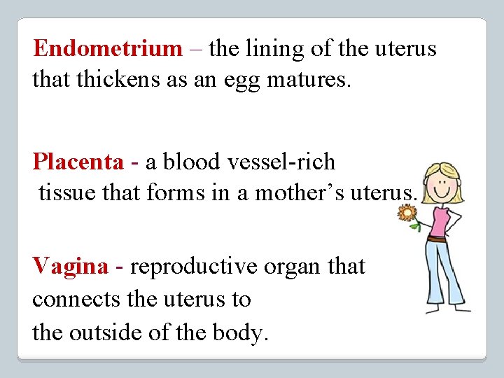 Endometrium – the lining of the uterus that thickens as an egg matures. Placenta