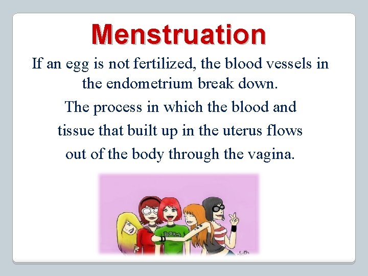 Menstruation If an egg is not fertilized, the blood vessels in the endometrium break