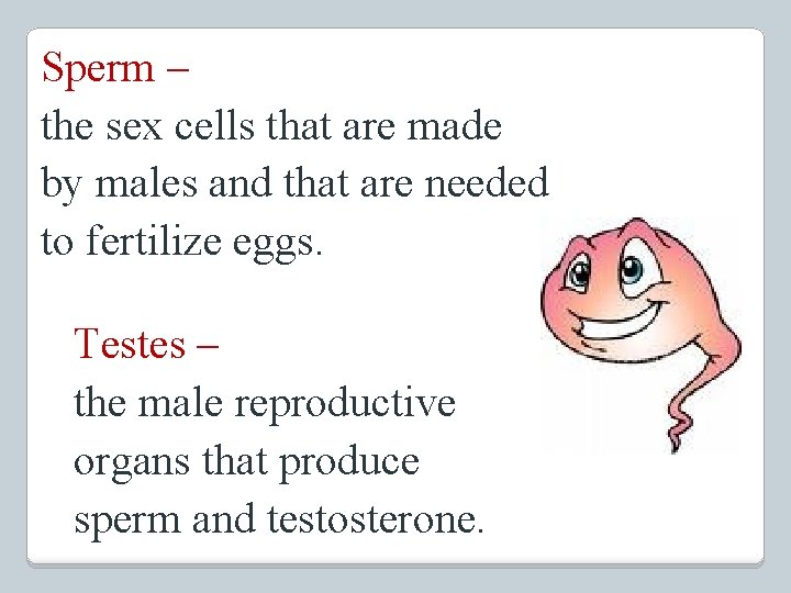 Sperm – the sex cells that are made by males and that are needed