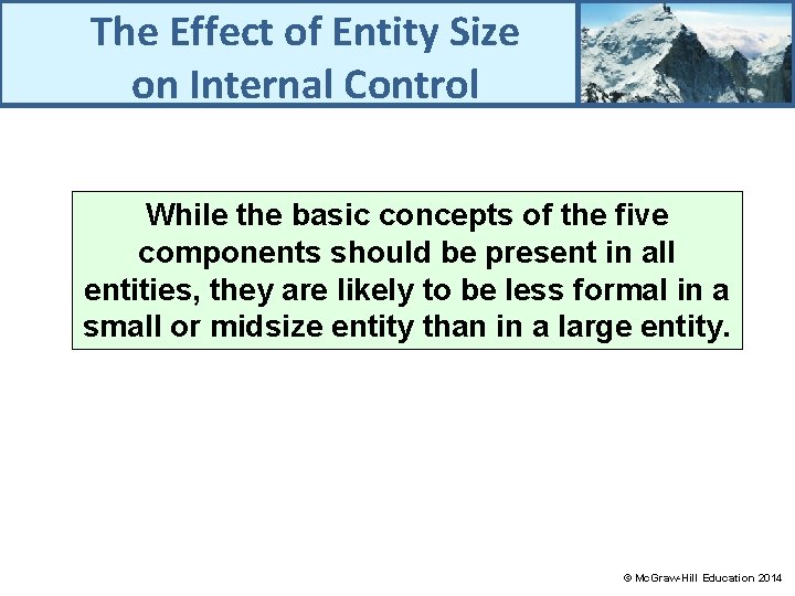The Effect of Entity Size on Internal Control While the basic concepts of the