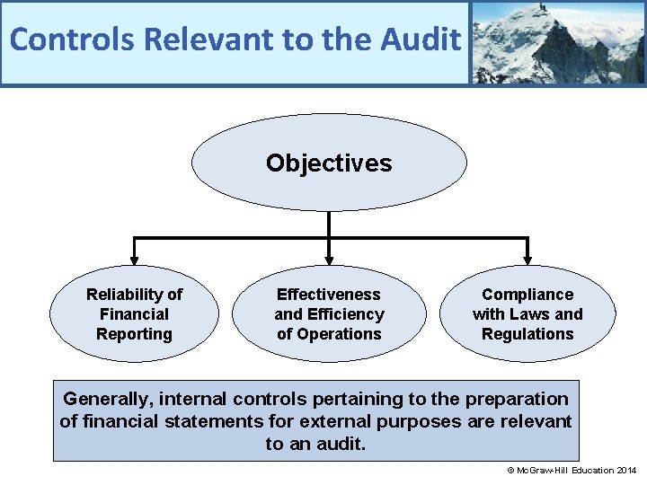 Controls Relevant to the Audit Objectives Reliability of Financial Reporting Effectiveness and Efficiency of