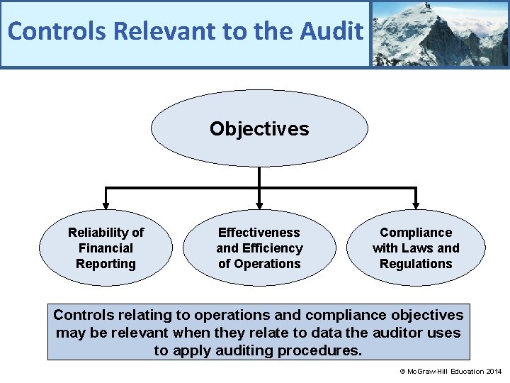 Controls Relevant to the Audit Objectives Reliability of Financial Reporting Effectiveness and Efficiency of