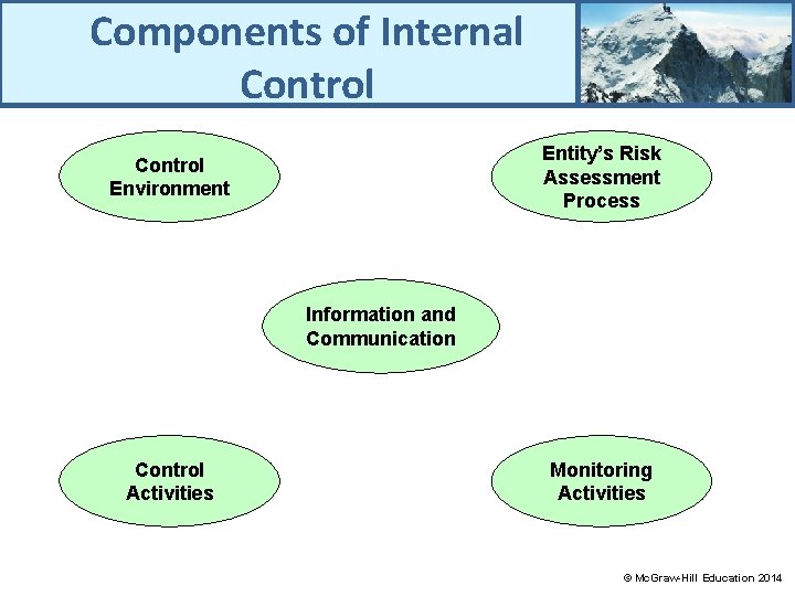 Components of Internal Control Entity’s Risk Assessment Process Control Environment Information and Communication Control