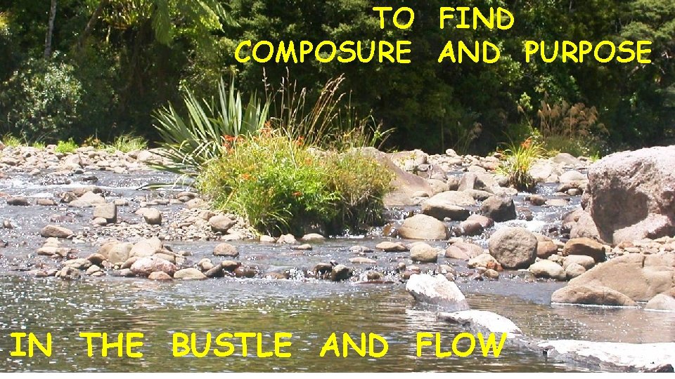TO FIND COMPOSURE AND PURPOSE IN THE BUSTLE AND FLOW 