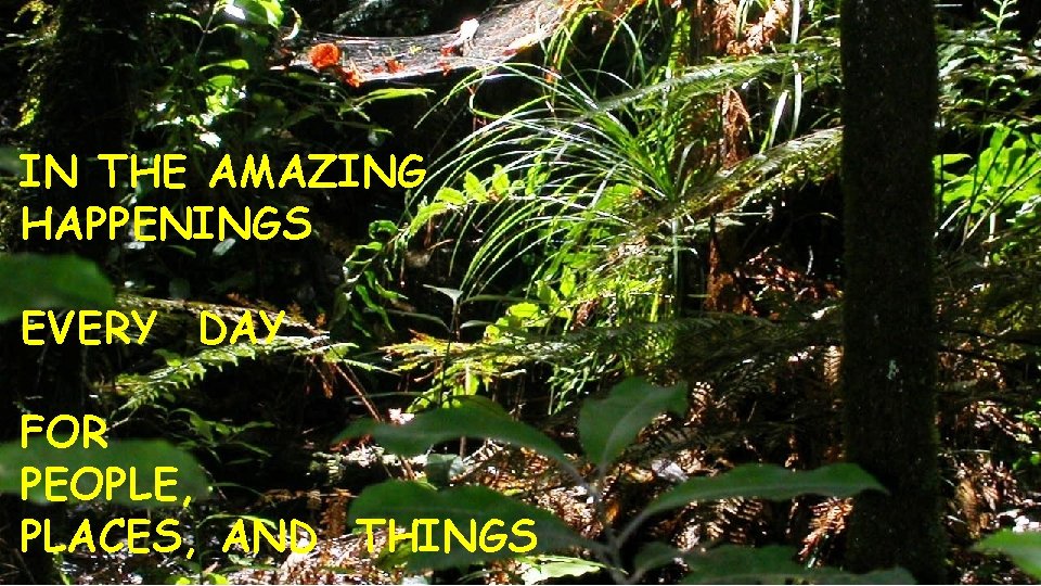 IN THE AMAZING HAPPENINGS EVERY DAY FOR PEOPLE, PLACES, AND THINGS 