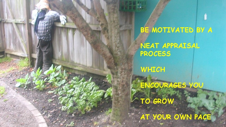 BE MOTIVATED BY A NEAT APPRAISAL PROCESS WHICH ENCOURAGES YOU TO GROW AT YOUR