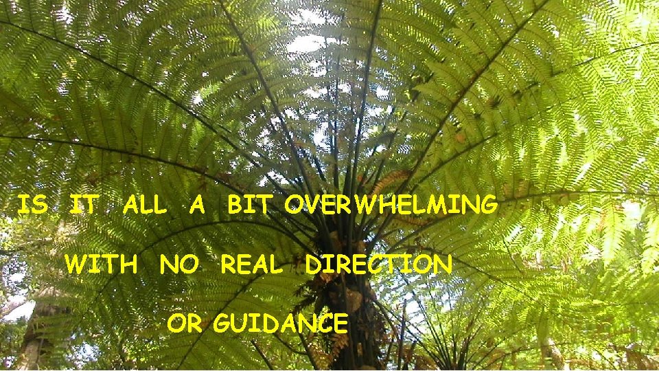 IS IT ALL A BIT OVERWHELMING WITH NO REAL DIRECTION OR GUIDANCE 