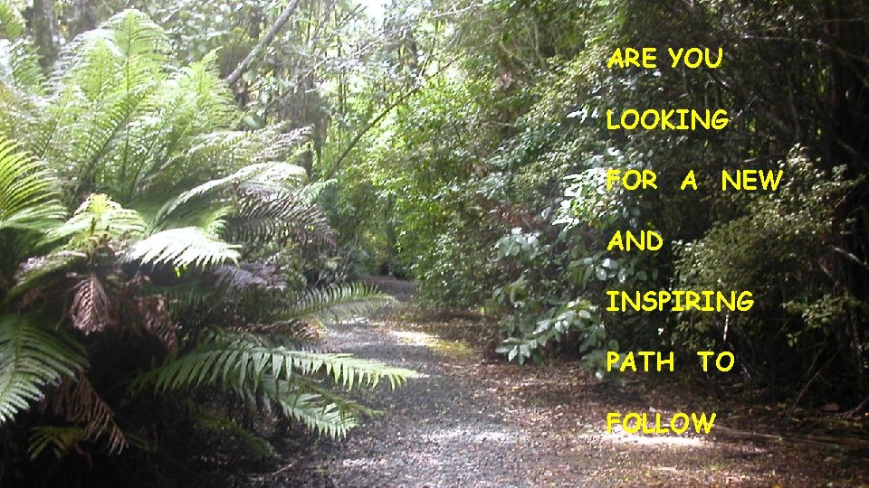 ARE YOU LOOKING FOR A NEW AND INSPIRING PATH TO FOLLOW 