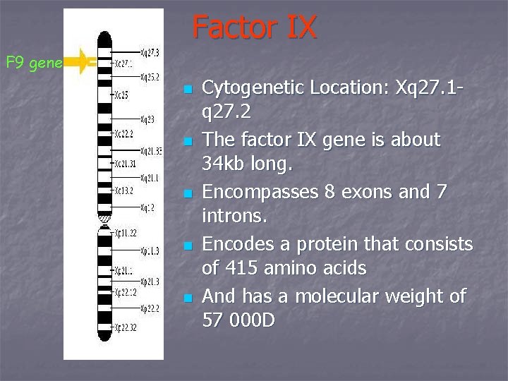 Factor IX F 9 gene n n n Cytogenetic Location: Xq 27. 1 q