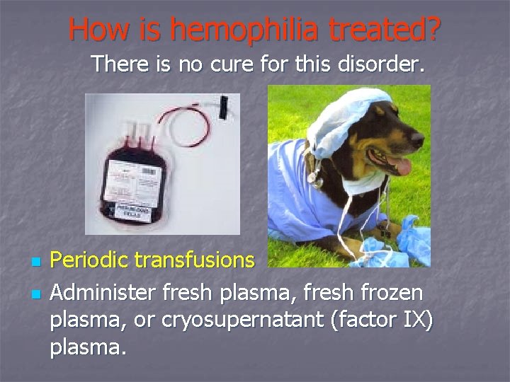 How is hemophilia treated? There is no cure for this disorder. n n Periodic