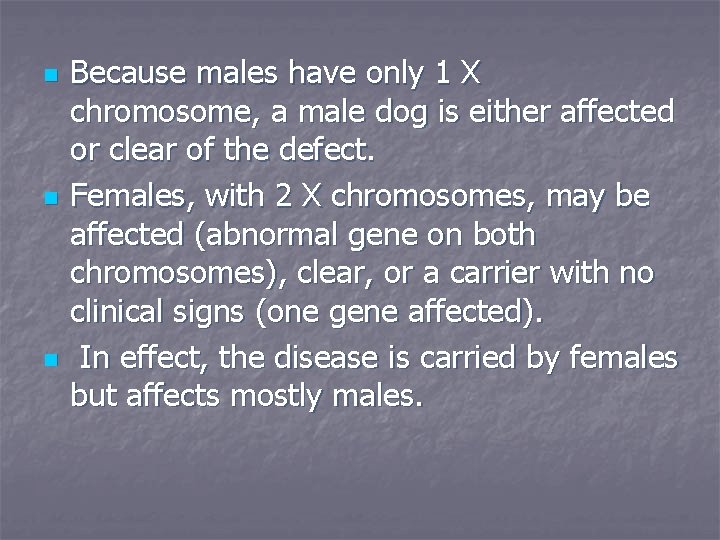 n n n Because males have only 1 X chromosome, a male dog is