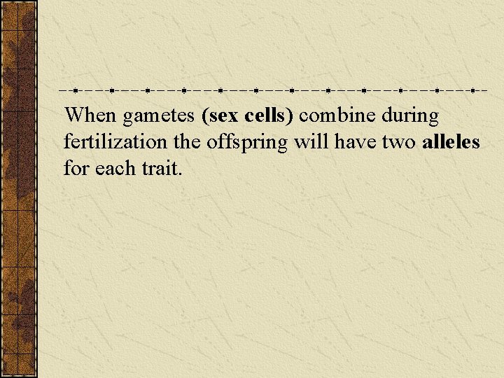 When gametes (sex cells) combine during fertilization the offspring will have two alleles for