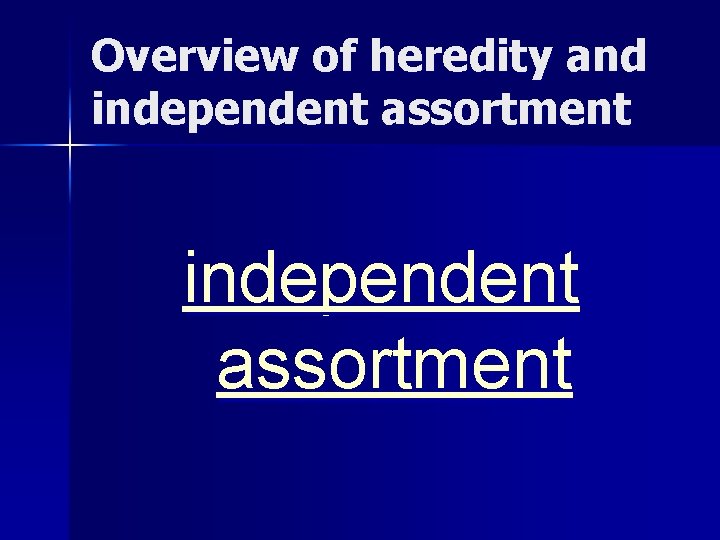 Overview of heredity and independent assortment 