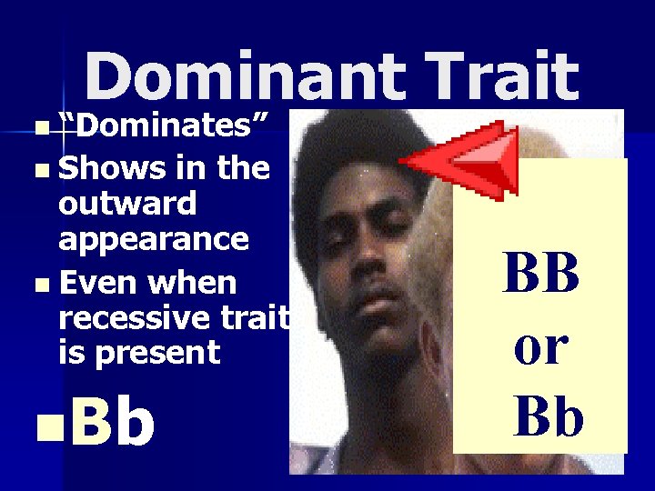 Dominant Trait n “Dominates” n Shows in the outward appearance n Even when recessive