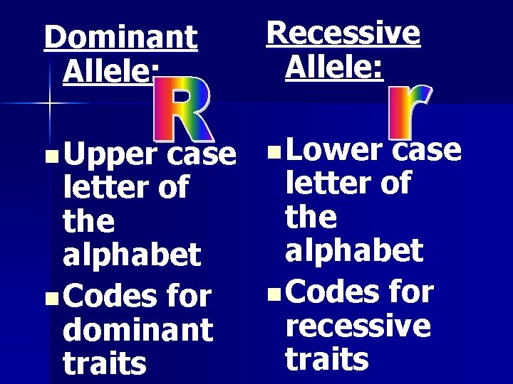 Dominant Allele: Recessive Allele: n Upper n Lower case letter of the alphabet n