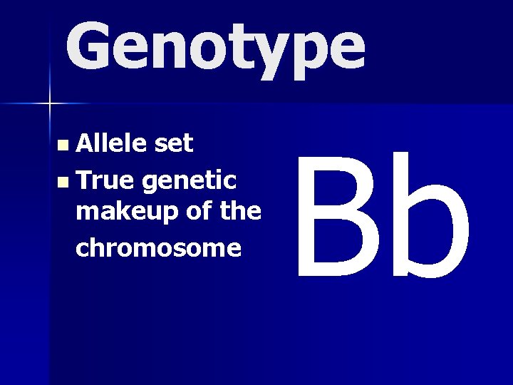 Genotype n Allele set n True genetic makeup of the chromosome Bb 