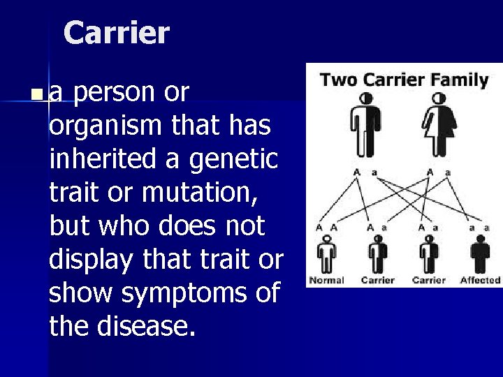 Carrier na person or organism that has inherited a genetic trait or mutation, but