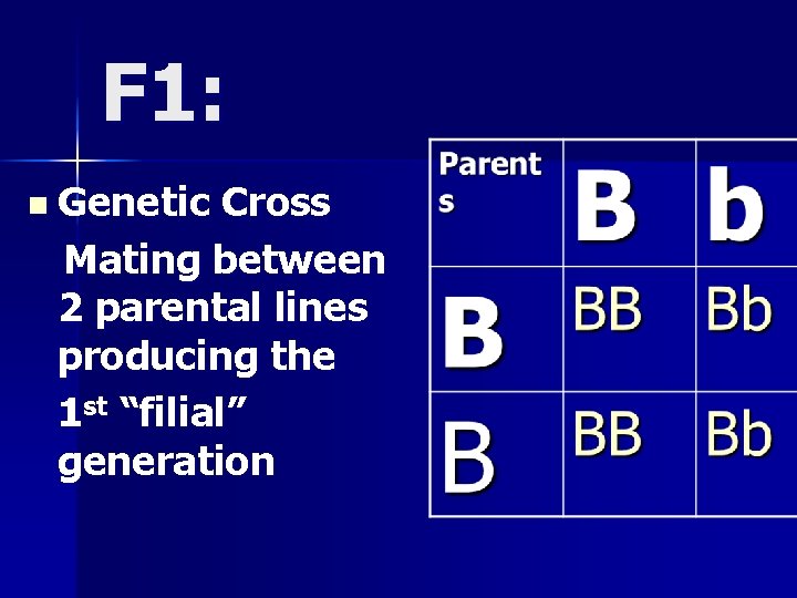 F 1: n Genetic Cross Mating between 2 parental lines producing the 1 st