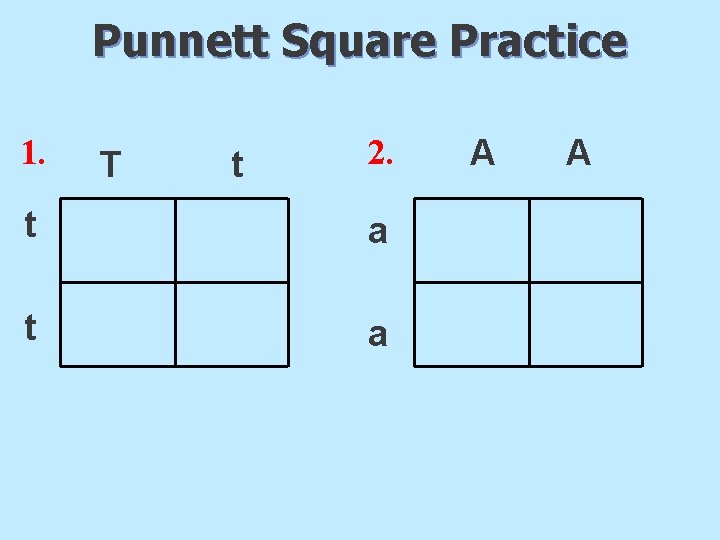 Punnett Square Practice 1. T t 2. t a A A 