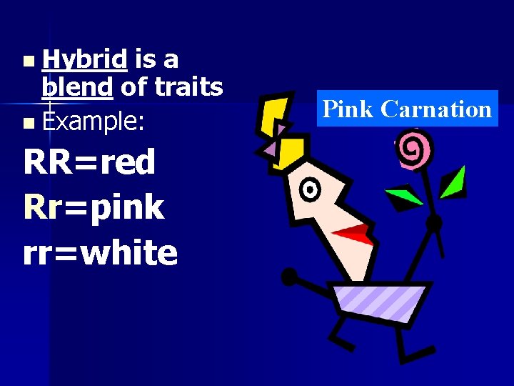 n Hybrid is a blend of traits n Example: RR=red Rr=pink rr=white Pink Carnation