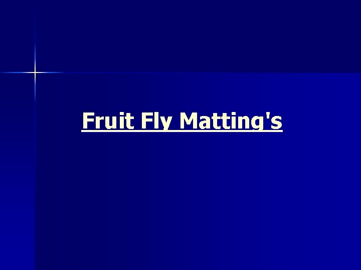 Fruit Fly Matting's 