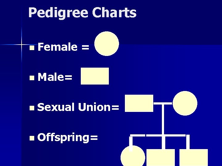 Pedigree Charts n Female = n Male= n Sexual Union= n Offspring= 