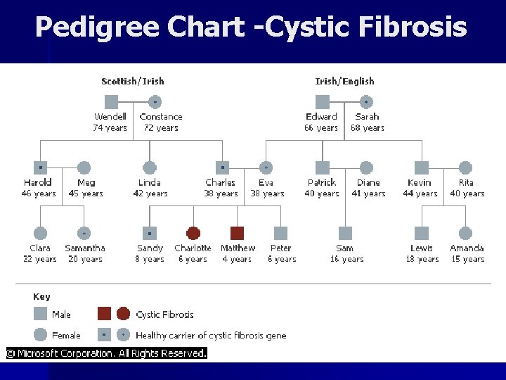 Pedigree Chart -Cystic Fibrosis 