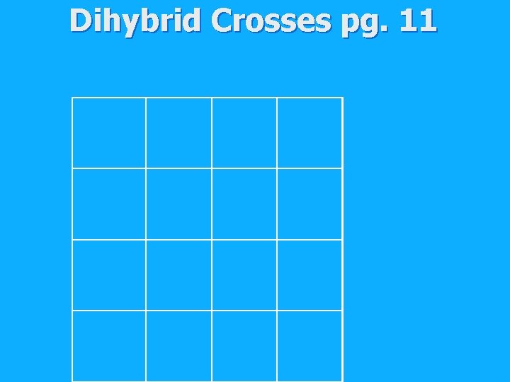 Dihybrid Crosses pg. 11 