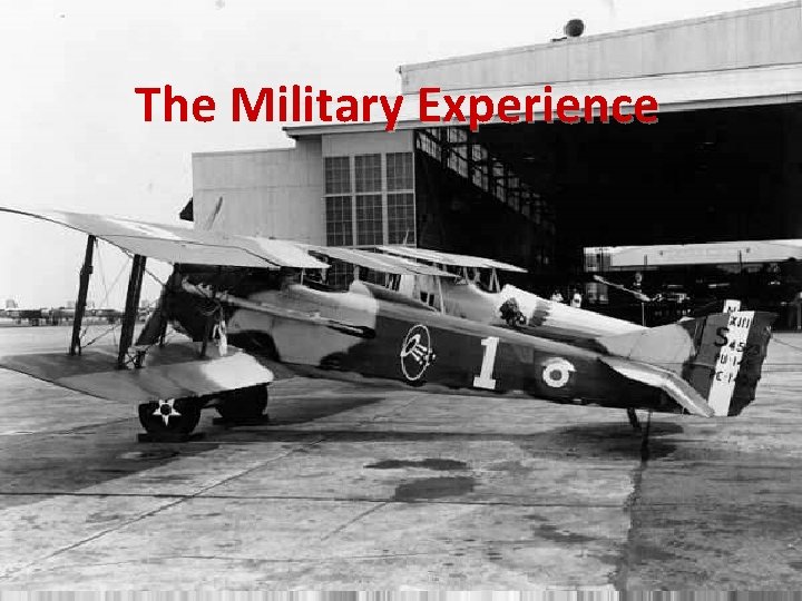 The Military Experience 